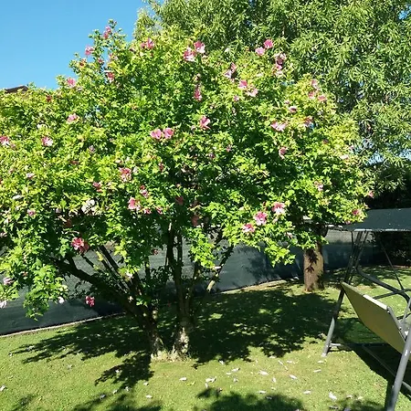 乐特拉维酒店 住宿加早餐酒店